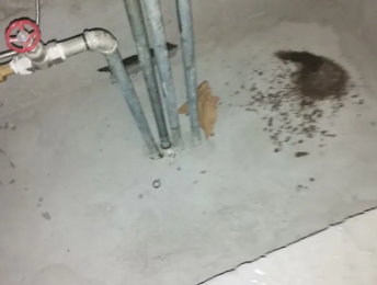 青冈卫生间测漏水价格明细