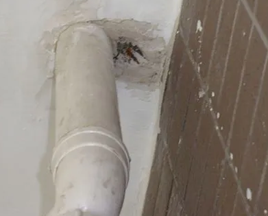 青冈漏水检测哪家好